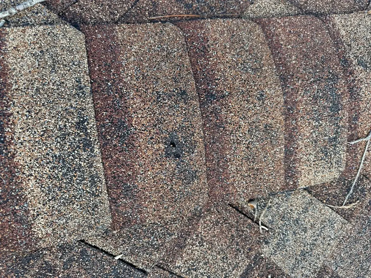 Close-up of a wind-creased shingle with a fractured mat